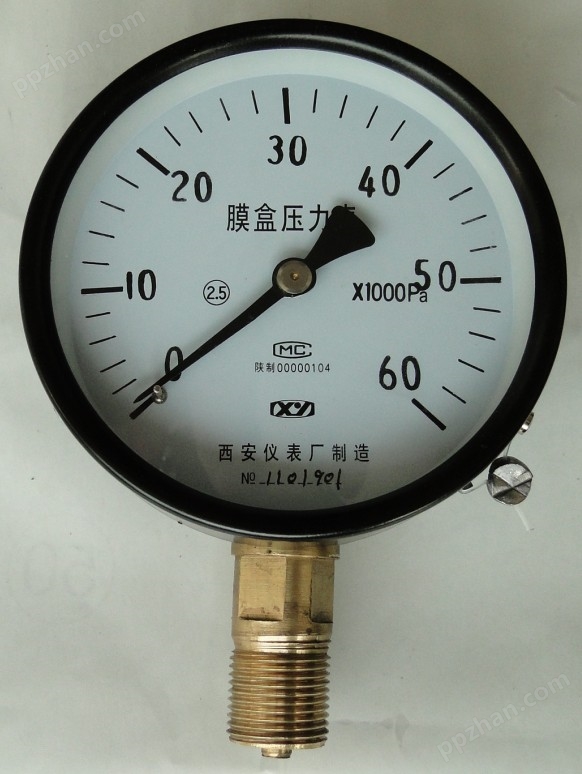 YE-100/150膜盒压力表