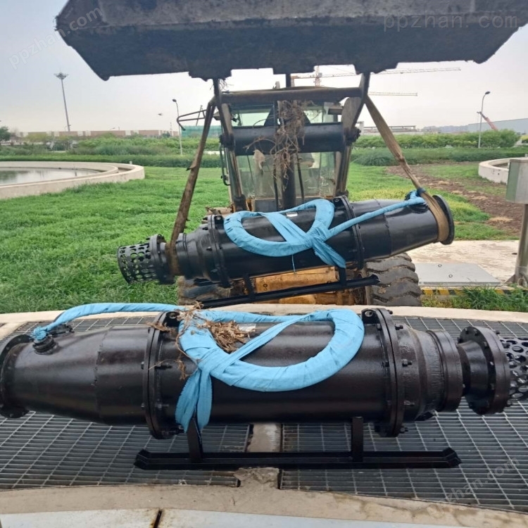 便携式不锈钢潜水泵 雪橇式轴流潜水电泵