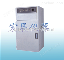 可程电热恒温干燥箱